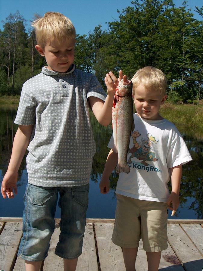 Torne Camping - Kano & Fiskecamp Grimslov Екстер'єр фото